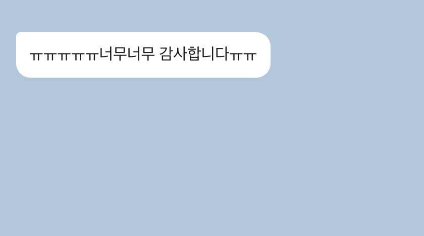 비행기도우미 성공 후기