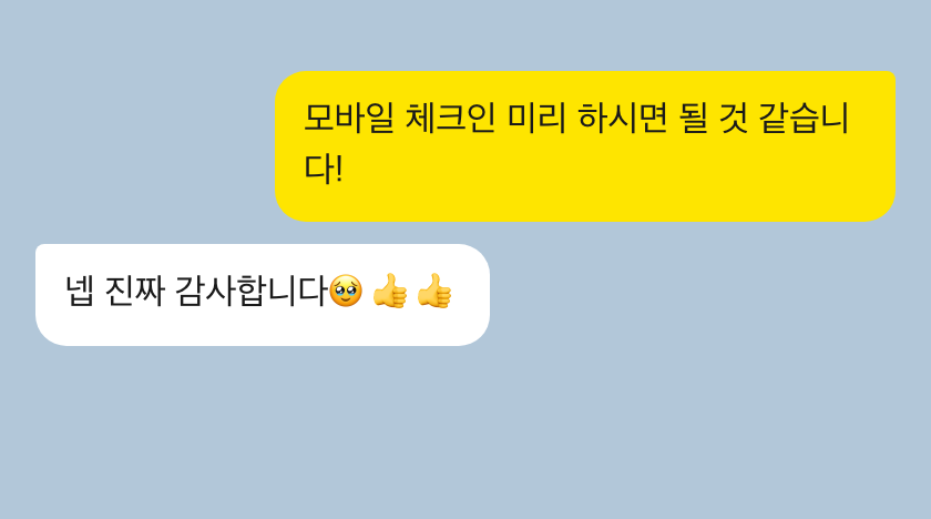 비행기도우미 성공 후기